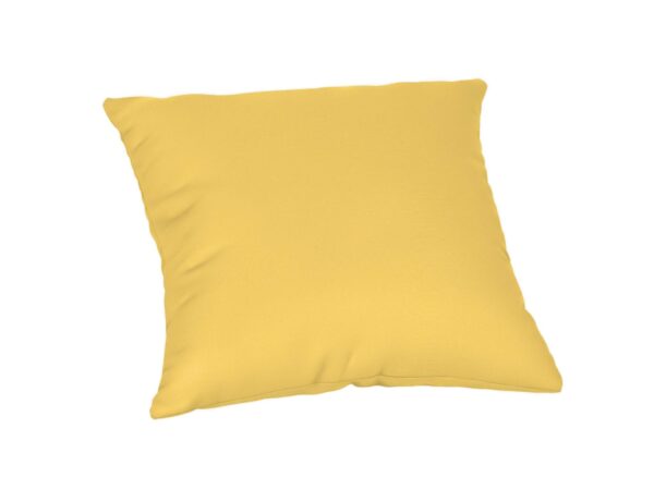 20 x 20 Throw Pillow Accessories