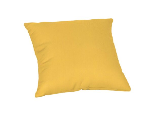 22 x 22 Throw Pillow Accessories