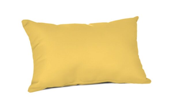 22 x 15 Lumbar Pillow Accessories