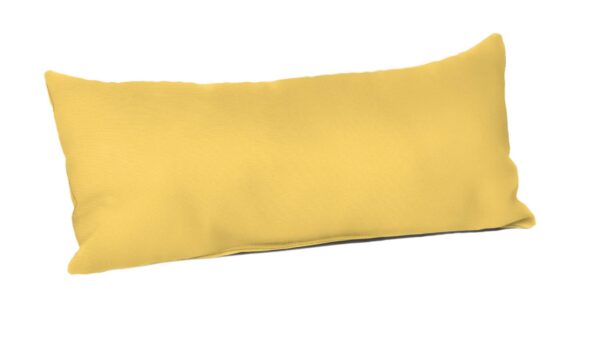 22 x 9 Lumbar Pillow Accessories