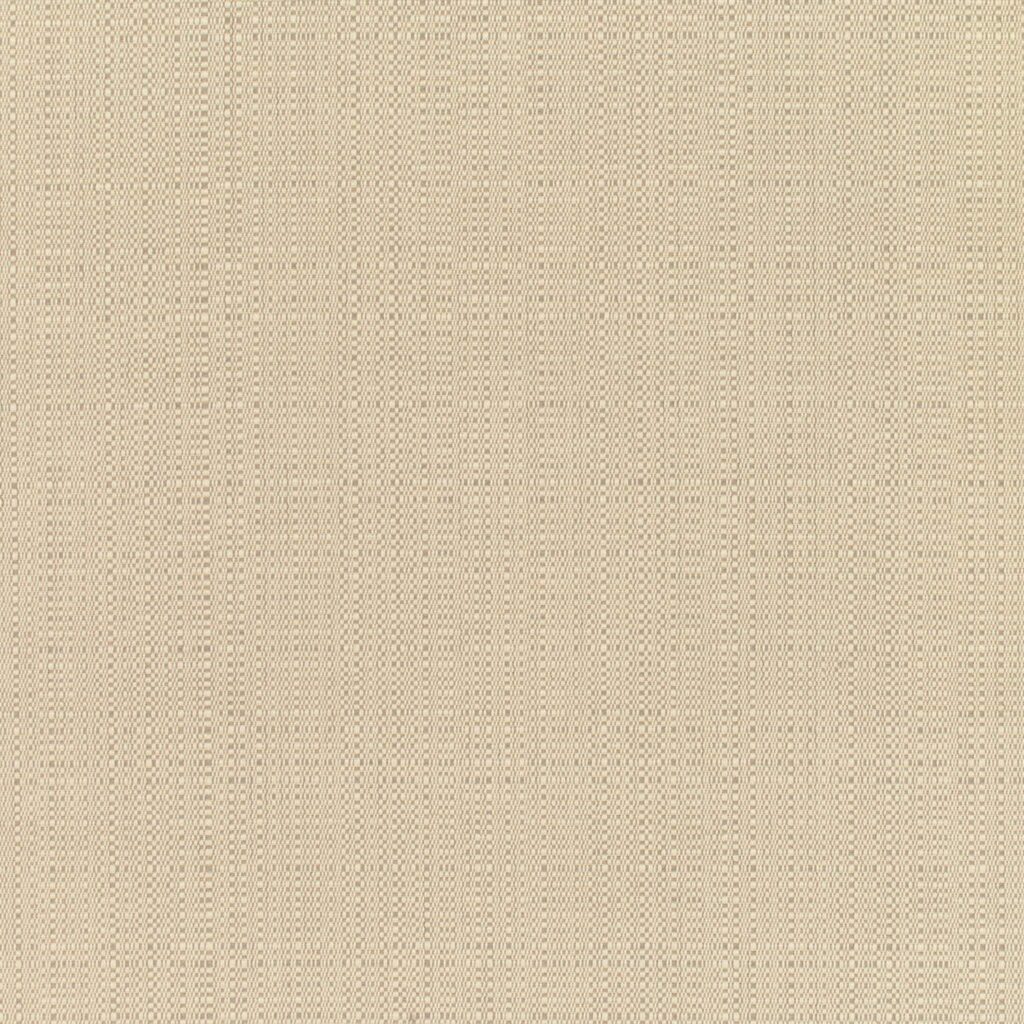 Linen Champagne Fabrics