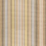 Rayure Beige Fabrics