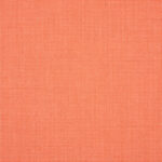 Bliss Guava Fabrics