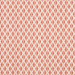 Canvas Persimmon Fabrics