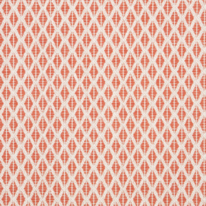 Detail Persimmon Fabrics